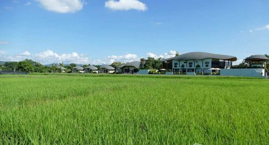 For rent 3 bedrooms villa in Doi Saket, Chiang Mai