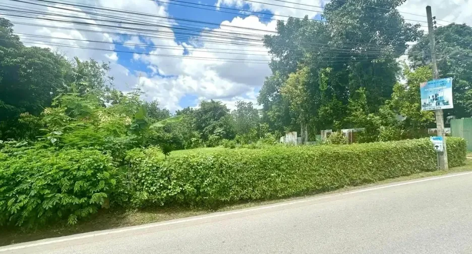 Grundstück zum Kauf in Mueang Chiang Mai, Chiang Mai