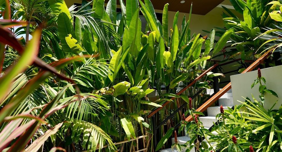 For rent 5 bedrooms villa in Ko Samui, Surat Thani