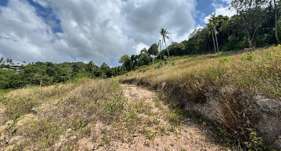 For sale land in Ko Samui, Surat Thani