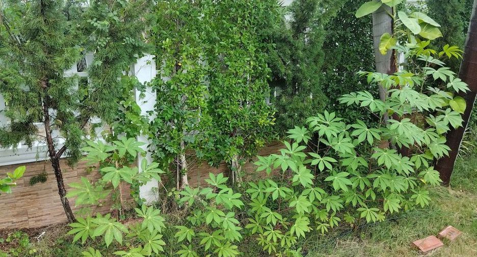For sale 2 bedrooms house in Cha Am, Phetchaburi