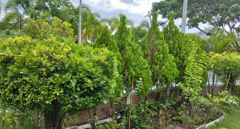 For sale 2 bedrooms house in Cha Am, Phetchaburi
