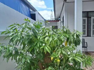 出租 2 卧室 独立屋 在 华欣, 班武里府
