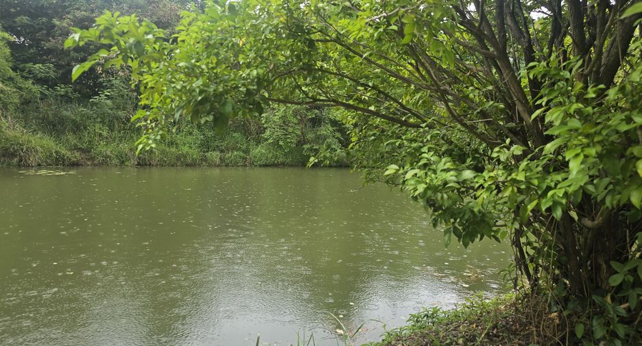 For sale land in Mueang Chiang Mai, Chiang Mai