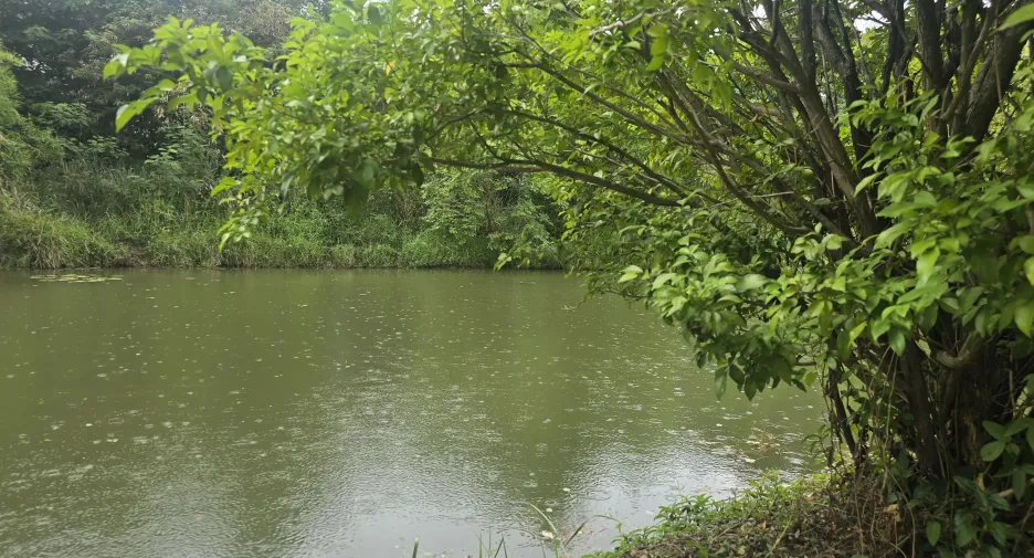 出售 土地 在 Mueang Chiang Mai, Chiang Mai
