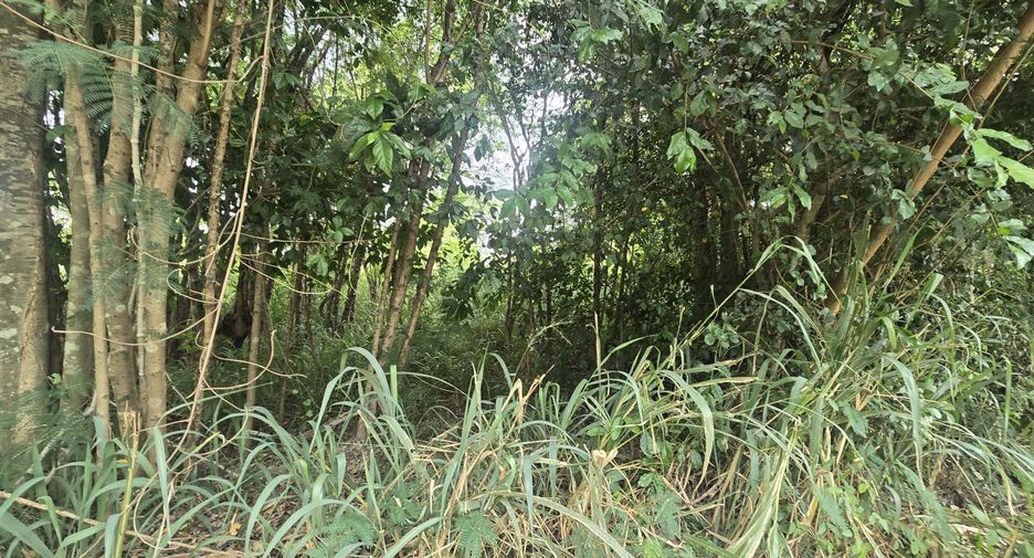 For sale land in Mueang Chiang Mai, Chiang Mai