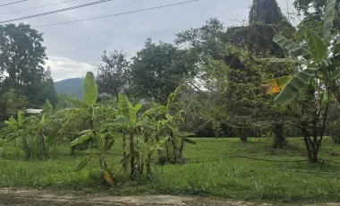For sale land in Mueang Chiang Mai, Chiang Mai