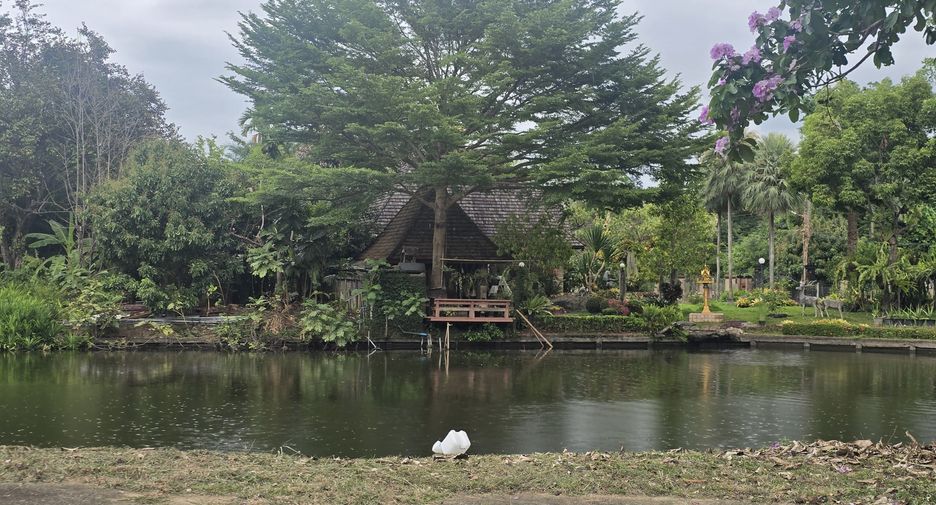 For sale land in Mueang Chiang Mai, Chiang Mai