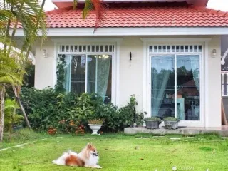 À vendre 3 chambres maison à San Kamphaeng, Chiang Mai