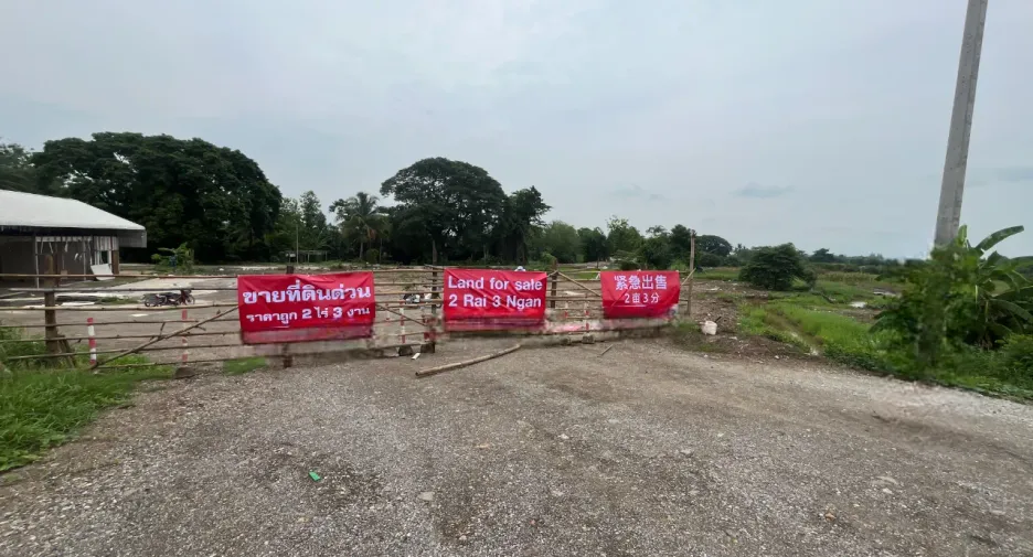 For sale land in San Pa Tong, Chiang Mai