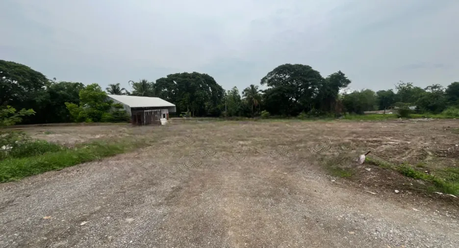 For sale land in San Pa Tong, Chiang Mai