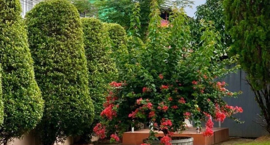 For sale 4 ベッドルーム house in Mueang Chiang Mai, Chiang Mai