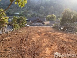 For sale land in Mae Rim, Chiang Mai