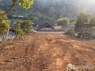 For sale land in Mae Rim, Chiang Mai