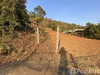 For sale land in Mae Rim, Chiang Mai