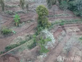 Terreno en venta en Mae Rim, Chiang Mai