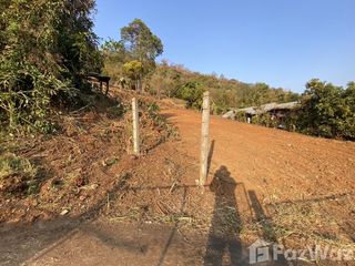 For sale land in Mae Rim, Chiang Mai
