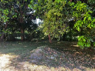 For sale land in Ko Samui, Surat Thani