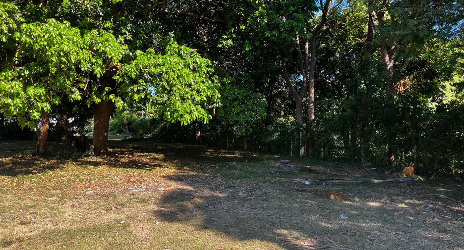 For sale land in Ko Samui, Surat Thani