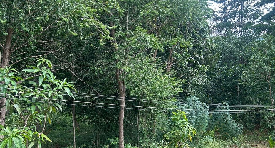 For sale land in Ko Samui, Surat Thani