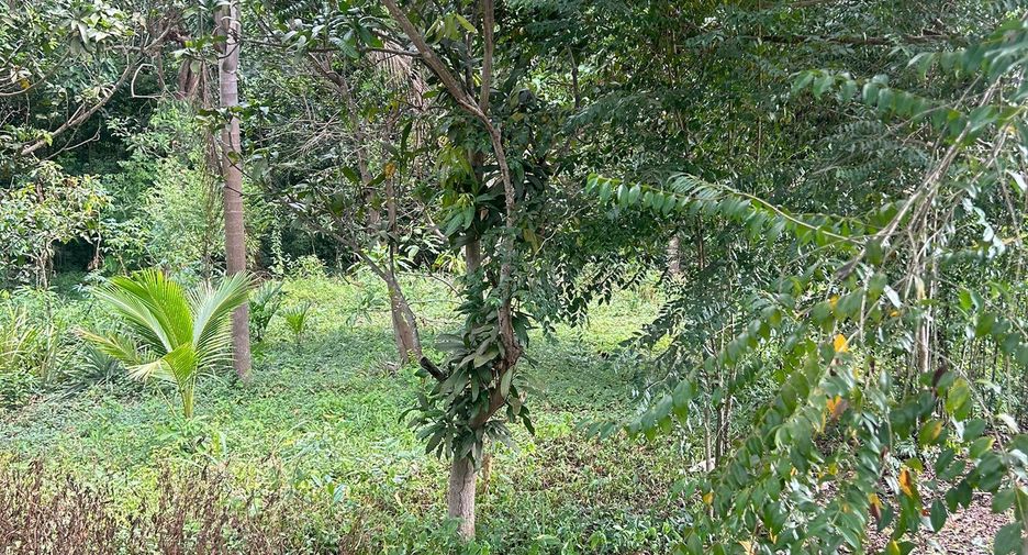 For sale land in Ko Samui, Surat Thani