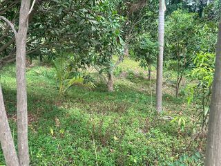 For sale land in Ko Samui, Surat Thani