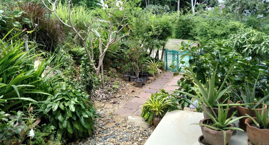 Villa en alquiler de 3 habitaciones en Ko Samui, Surat Thani