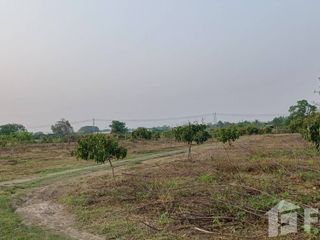 For sale land in San Pa Tong, Chiang Mai