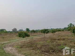 For sale land in San Pa Tong, Chiang Mai
