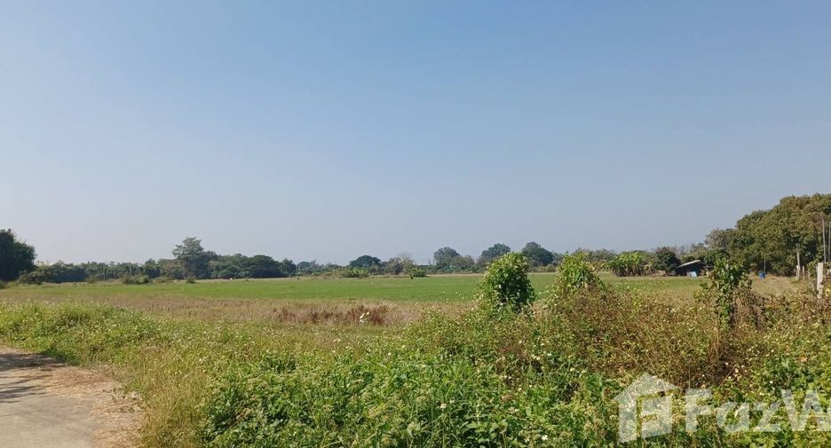 For sale land in San Pa Tong, Chiang Mai