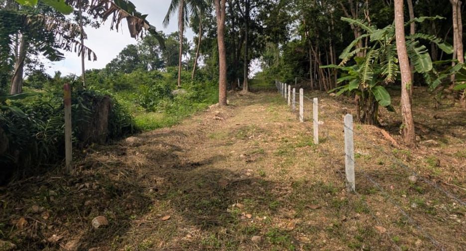 For sale land in Ko Samui, Surat Thani