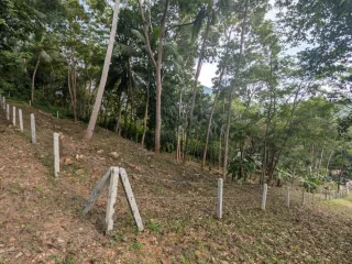 For sale land in Ko Samui, Surat Thani