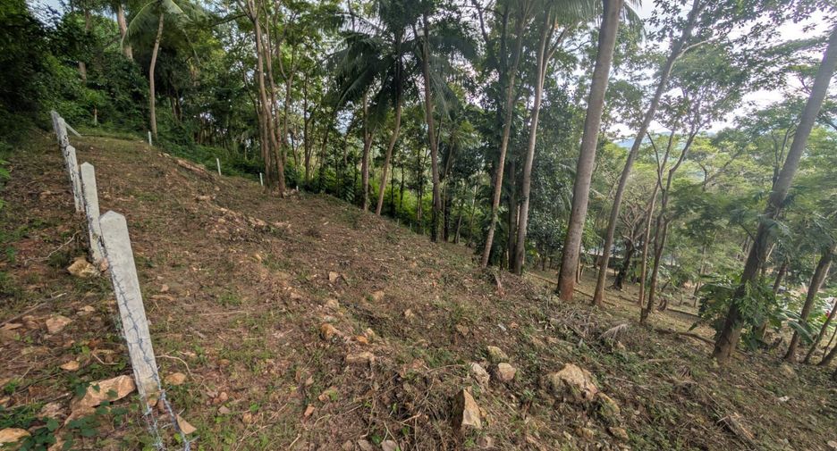 For sale land in Ko Samui, Surat Thani