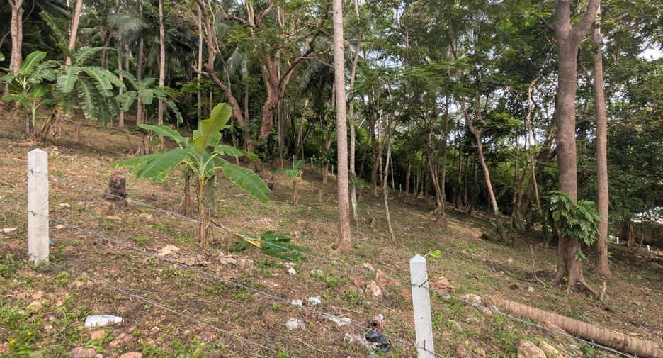 For sale land in Ko Samui, Surat Thani