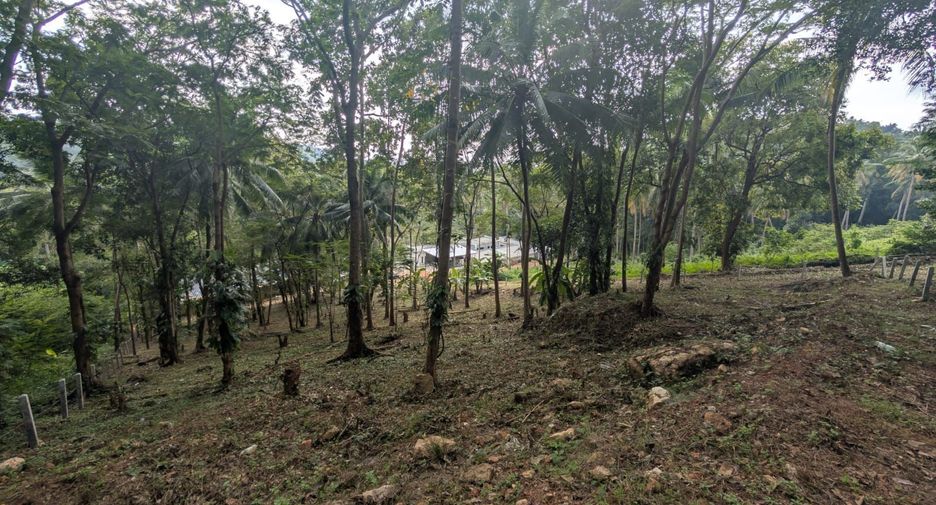 For sale land in Ko Samui, Surat Thani
