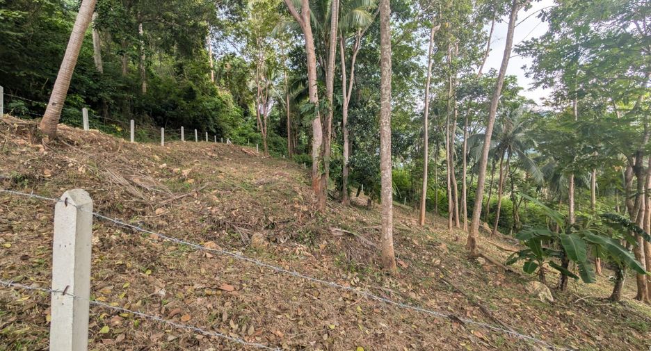 For sale land in Ko Samui, Surat Thani