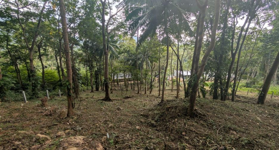 For sale land in Ko Samui, Surat Thani