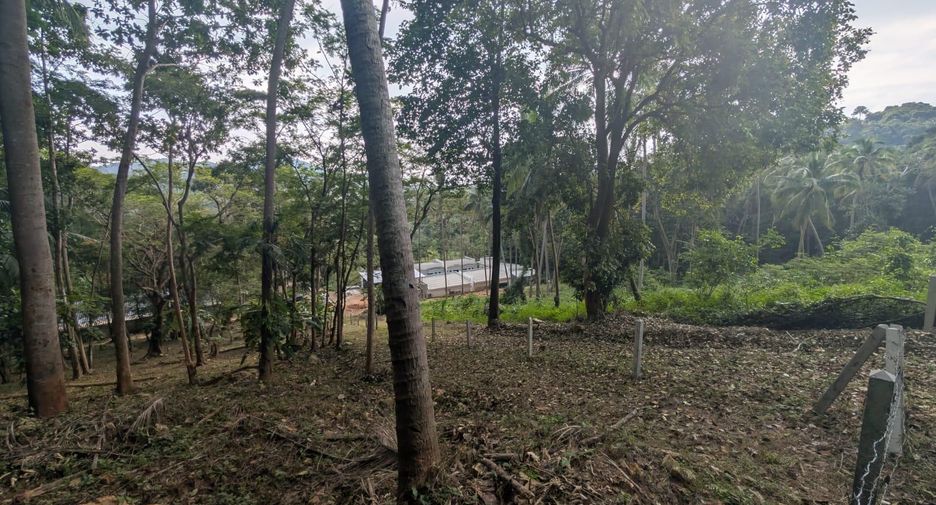 For sale land in Ko Samui, Surat Thani