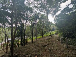 For sale land in Ko Samui, Surat Thani