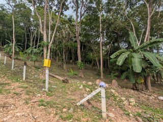 For sale land in Ko Samui, Surat Thani