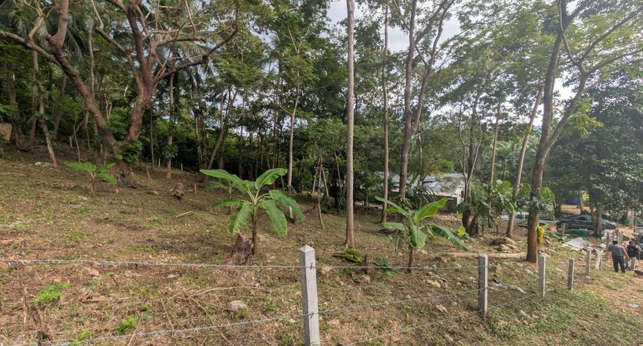 For sale land in Ko Samui, Surat Thani