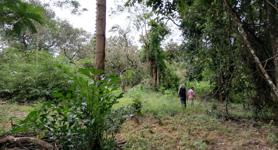 Продажа Участок в Mueang Ranong, Ranong