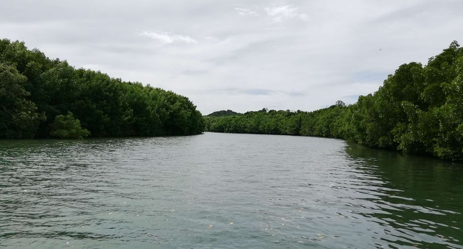 For sale land in Mueang Ranong, Ranong