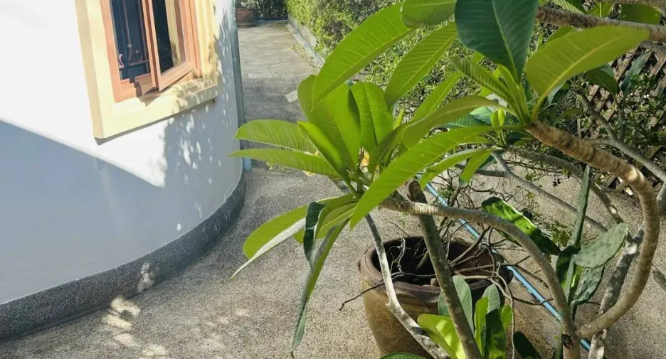 出售 2 卧室 独立屋 在 华欣, 班武里府