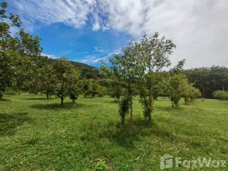 Продажа Участок в Самуи, Сураттани