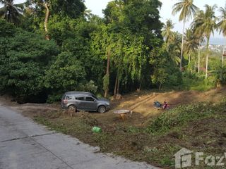 ขาย ที่ดิน ใน เกาะสมุย, สุราษฎร์ธานี