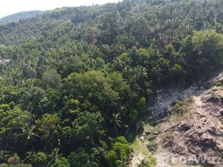 出售 土地 在 Koh Phangan, 素叻