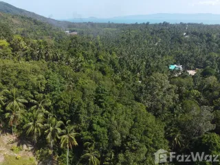 À vendre terrain à Ko Pha-ngan, Surat Thani