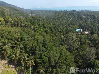 出售 土地 在 Koh Phangan, 素叻