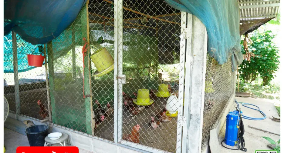 For sale 2 bedrooms house in Phichai, Uttaradit